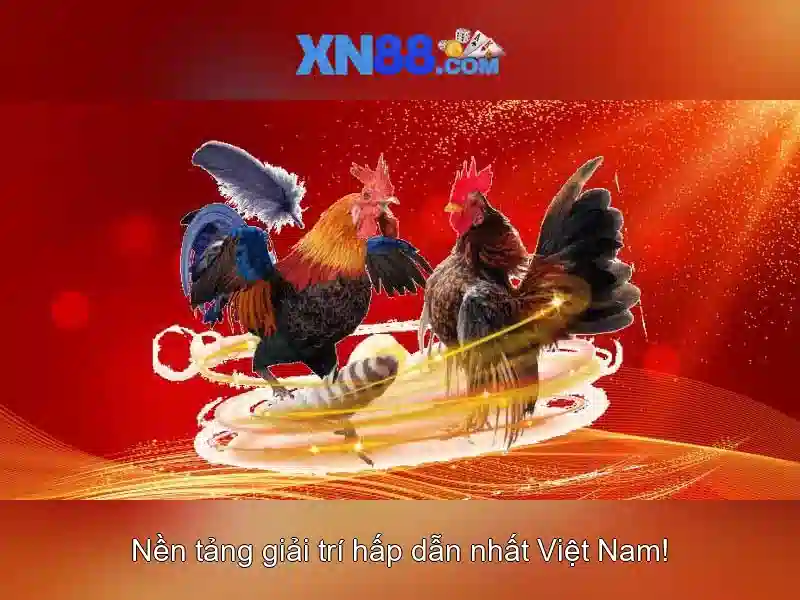 Giới thiệu về XN88 Giới thiệu về XN88