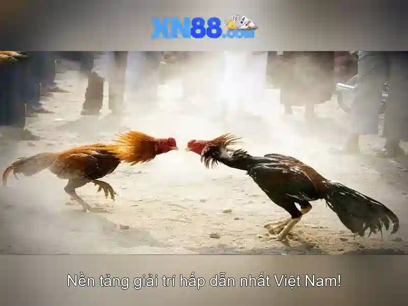 Lịch sử và mục tiêu