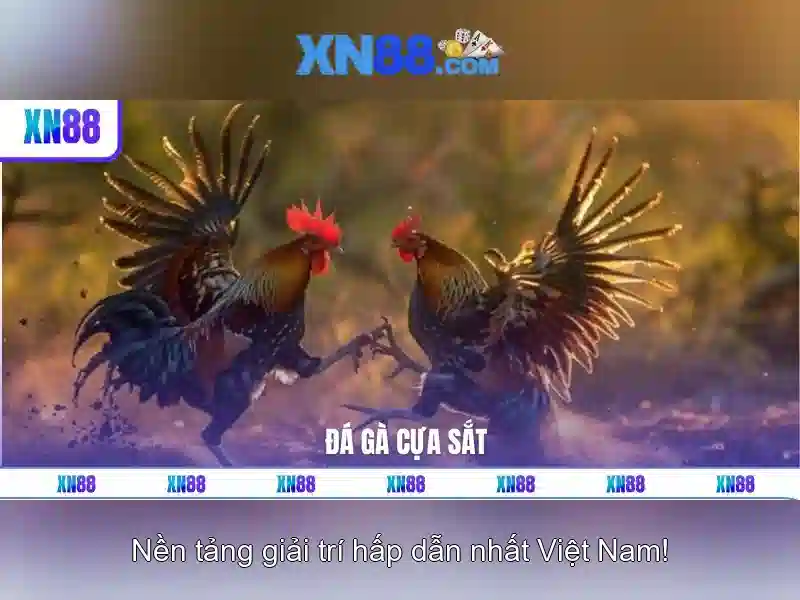 XN88: Tổng quan về nền tảng cược trực tuyến và những điểm nổi bật Go88