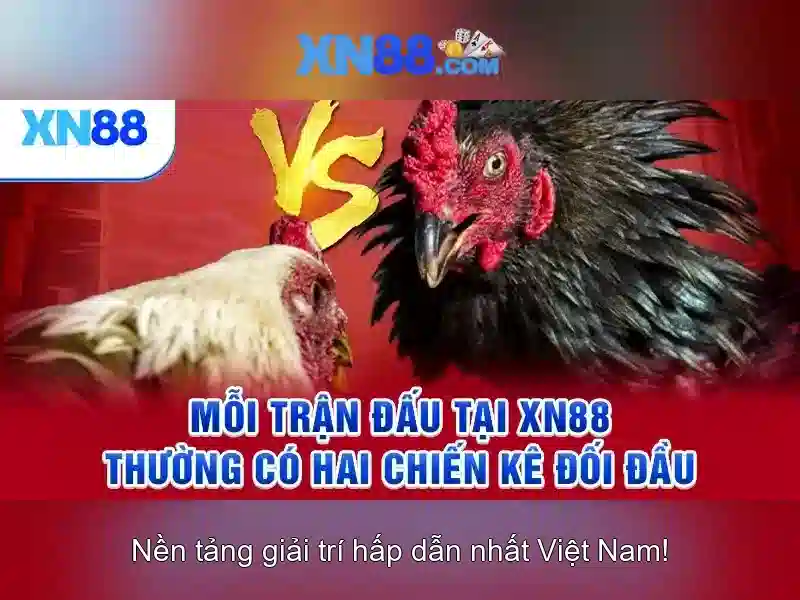 Tổng quan và giá trị cốt lõi của xn88 uy tín không