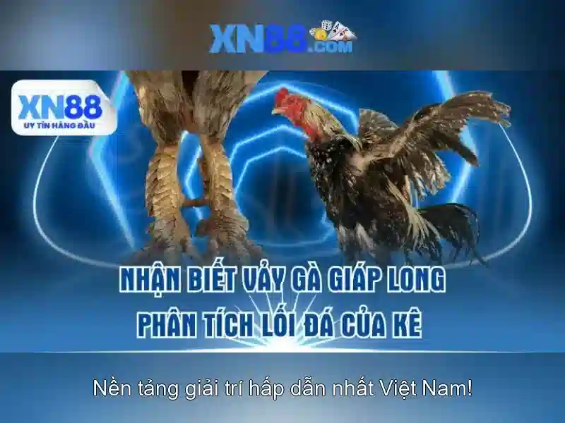 Đăng Nhập