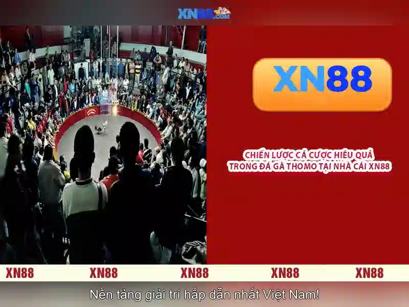 Giới thiệu về xn88