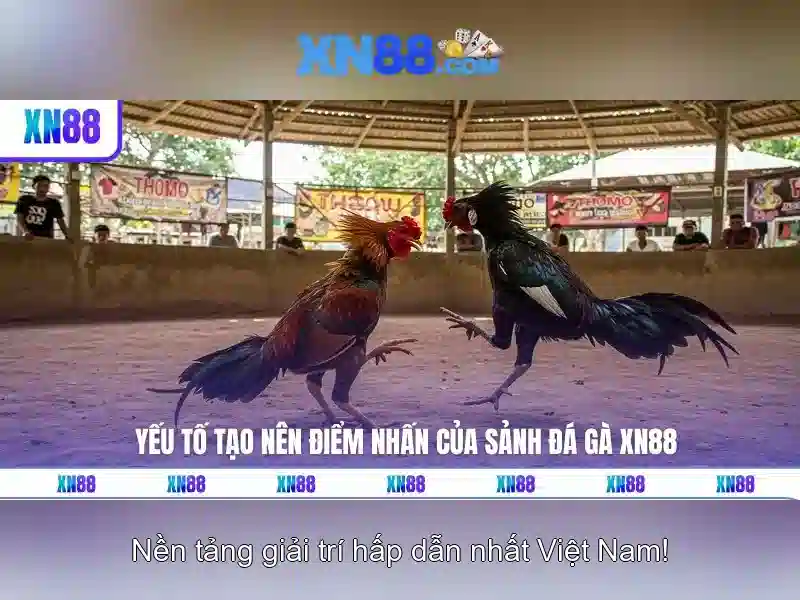 Độ tin cậy và an toàn\n<h>Kết luận</h>\n<p>xn88 là một nền tảng giải trí trực tuyến toàn diện, phù hợp cho người dùng tìm kiếm sự tiện lợi, đa dạng trò chơi và an toàn khi tham gia các hoạt động giải trí online. Hãy dùng thử để khám phá các tùy chọn đặc sắc và chương trình khuyến mãi ngay hôm nay.</p>
