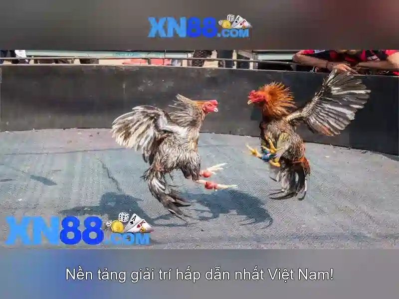 Go88