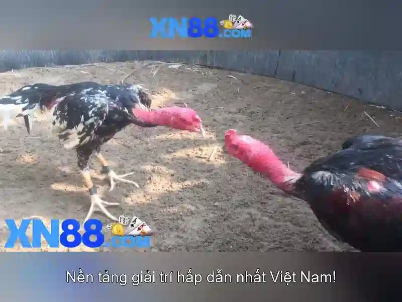 Hướng dẫn tham gia Hướng dẫn tham gia