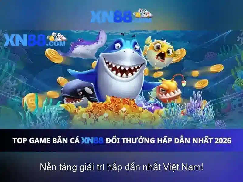 Tổng quan về xn88