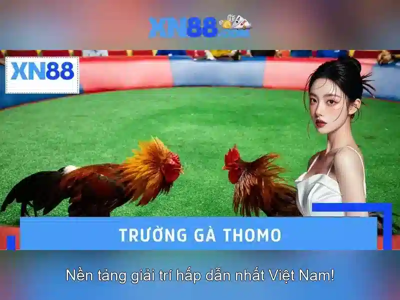 Lời khuyên quản lý cược và trải nghiệm người dùng với xn88