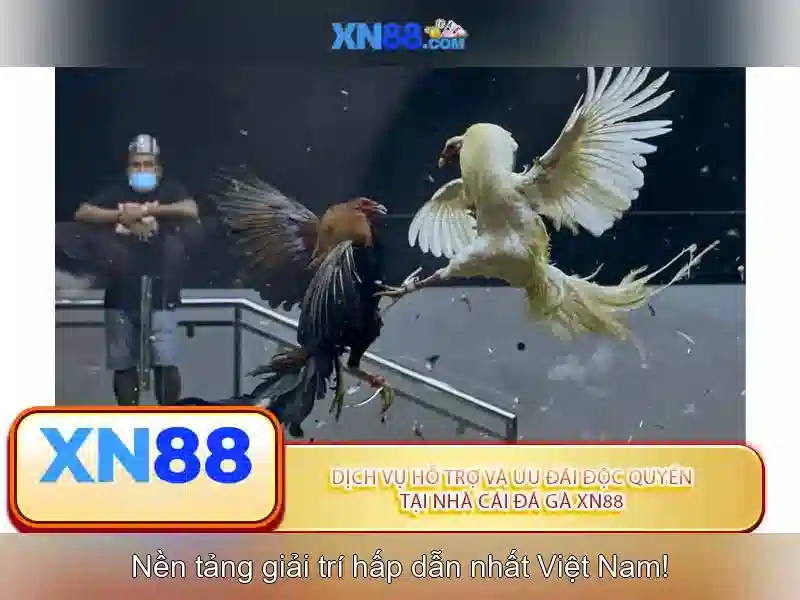 Giới thiệu về xn88