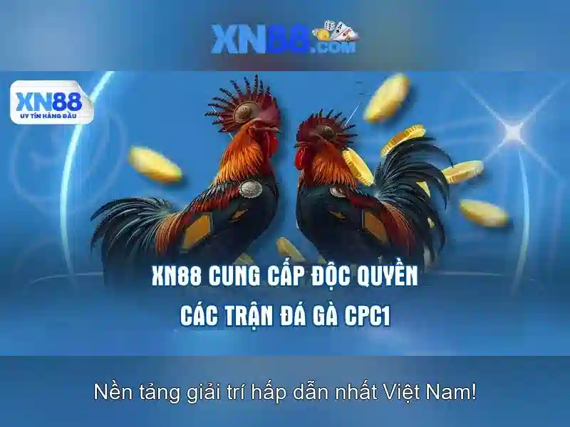 Cách tham gia và chơi một cách hợp pháp và an toàn\n\n<p>Để tận dụng tối đa xn88, người chơi nên tìm hiểu kỹ các điều khoản, chương trình khuyến mãi và các giới hạn tại khu vực của mình, đồng thời đảm bảo rằng hoạt động giải trí và cược diễn ra một cách cân bằng và có trách nhiệm.</p> Cách tham gia và chơi một cách hợp pháp và an toàn\n\n<p>Để tận dụng tối đa xn88, người chơi nên tìm hiểu kỹ các điều khoản, chương trình khuyến mãi và các giới hạn tại khu vực của mình, đồng thời đảm bảo rằng hoạt động giải trí và cược diễn ra một cách cân bằng và có trách nhiệm.</p>