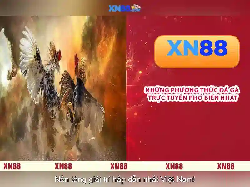 An toàn và pháp lý<h>Trải nghiệm người dùng</h><p>Nền tảng tối ưu cho cả thiết bị di động và máy tính để bàn, với giao diện người dùng dễ điều hướng, tải trang nhanh và đồ họa sống động. Các tùy chọn cược và trò chơi được tổ chức logic, cho phép người chơi dễ dàng tìm thấy trò chơi yêu thích và nhận khuyến mãi hợp lý.</p><h>Kết luận</h><p>xn88 mang đến một lựa chọn giải trí trực tuyến đa dạng với sự chú trọng tới bảo mật, thanh toán linh hoạt và trải nghiệm người dùng thuận tiện. Người chơi nên tiếp cận có ý thức, quản lý ngân sách và tận dụng các tính năng hỗ trợ để tận hưởng trải nghiệm một cách an toàn.</p> An toàn và pháp lý<h>Trải nghiệm người dùng</h><p>Nền tảng tối ưu cho cả thiết bị di động và máy tính để bàn, với giao diện người dùng dễ điều hướng, tải trang nhanh và đồ họa sống động. Các tùy chọn cược và trò chơi được tổ chức logic, cho phép người chơi dễ dàng tìm thấy trò chơi yêu thích và nhận khuyến mãi hợp lý.</p><h>Kết luận</h><p>xn88 mang đến một lựa chọn giải trí trực tuyến đa dạng với sự chú trọng tới bảo mật, thanh toán linh hoạt và trải nghiệm người dùng thuận tiện. Người chơi nên tiếp cận có ý thức, quản lý ngân sách và tận dụng các tính năng hỗ trợ để tận hưởng trải nghiệm một cách an toàn.</p>