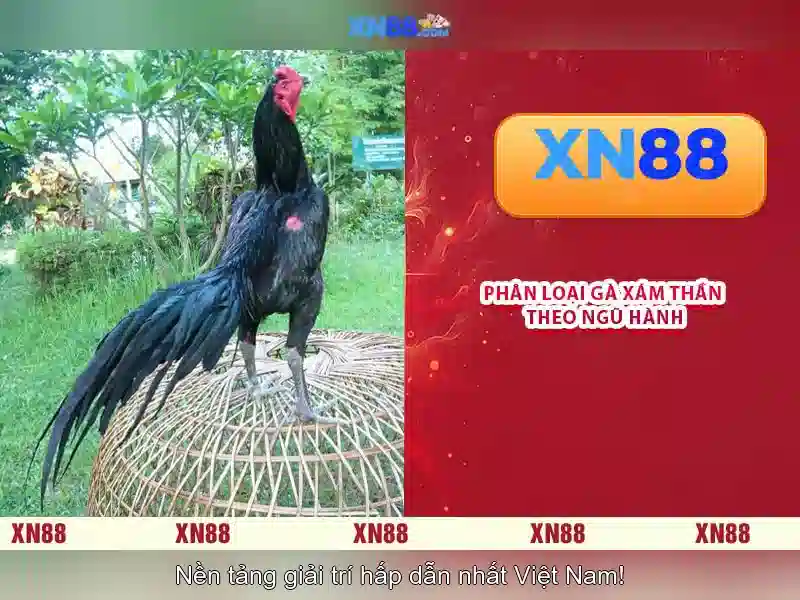Lịch sử và mục tiêu