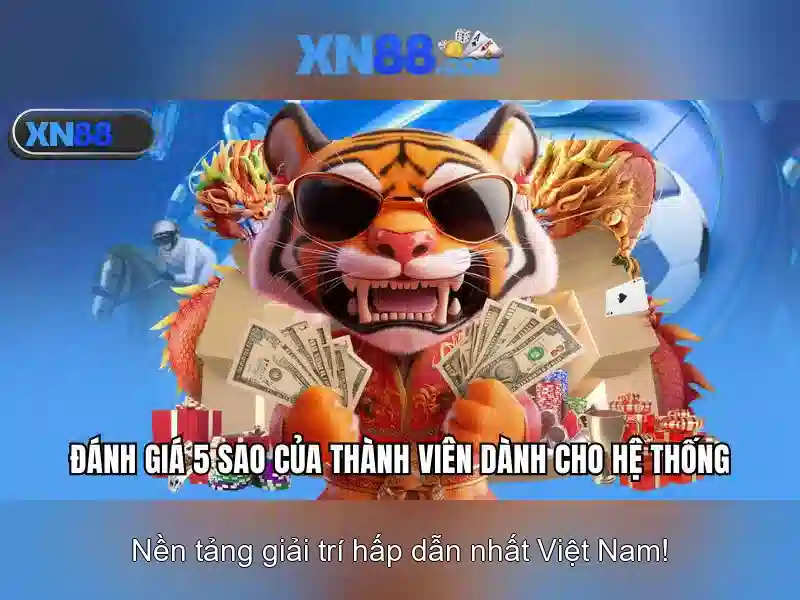 Phản hồi cộng đồng và danh tiếng