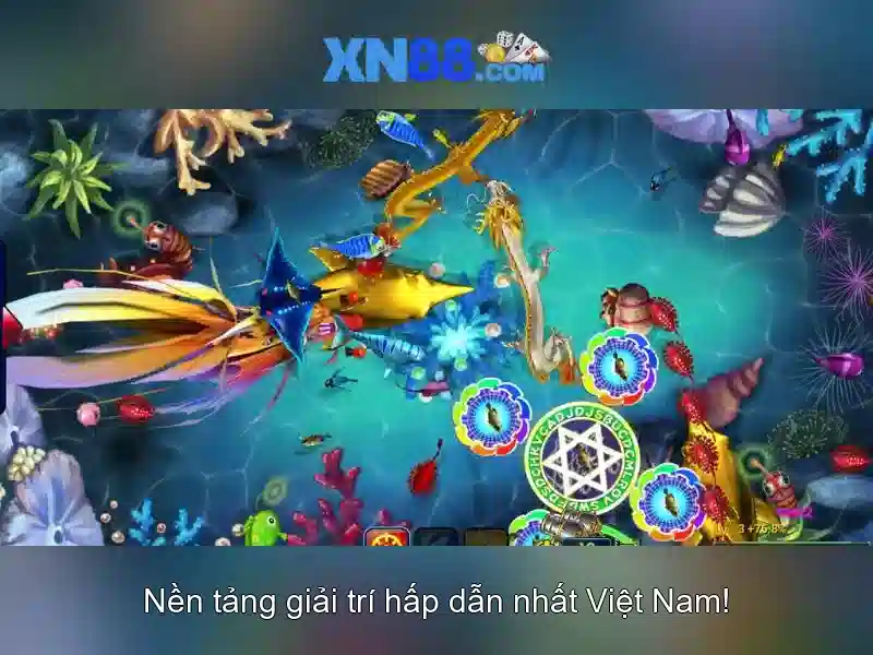An toàn và dịch vụ hỗ trợ