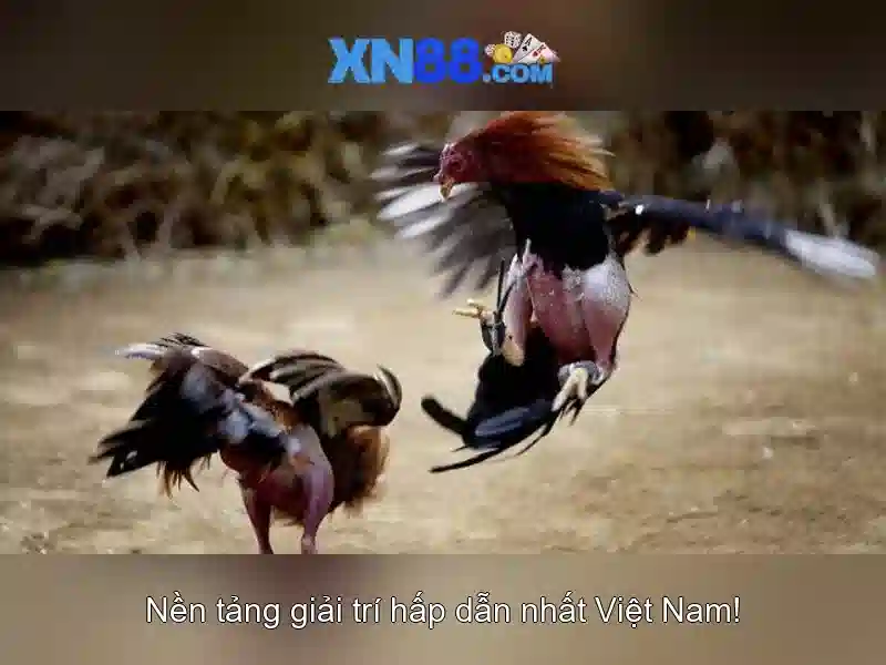 Hướng dẫn tham gia và đăng ký Hướng dẫn tham gia và đăng ký
