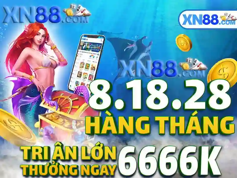 Các dịch vụ và trải nghiệm người dùng