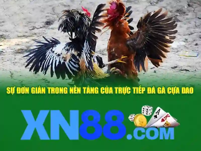 m1 xn88 – Tổng quan chủ đề và giá trị cốt lõi
